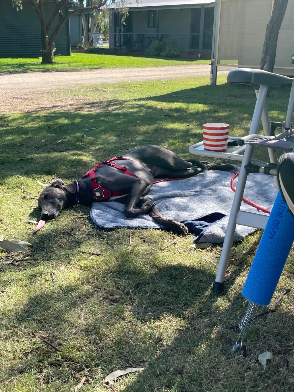 Tocumwal, New South Wales