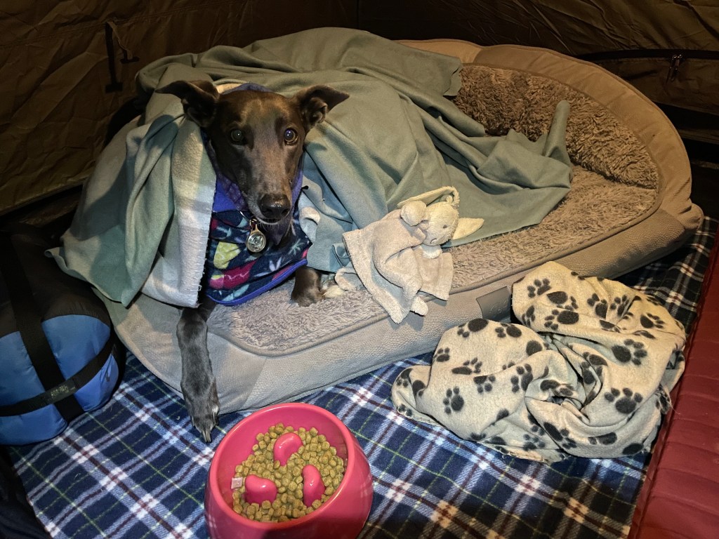 Keeping your dog warm on winter&nbsp;travels